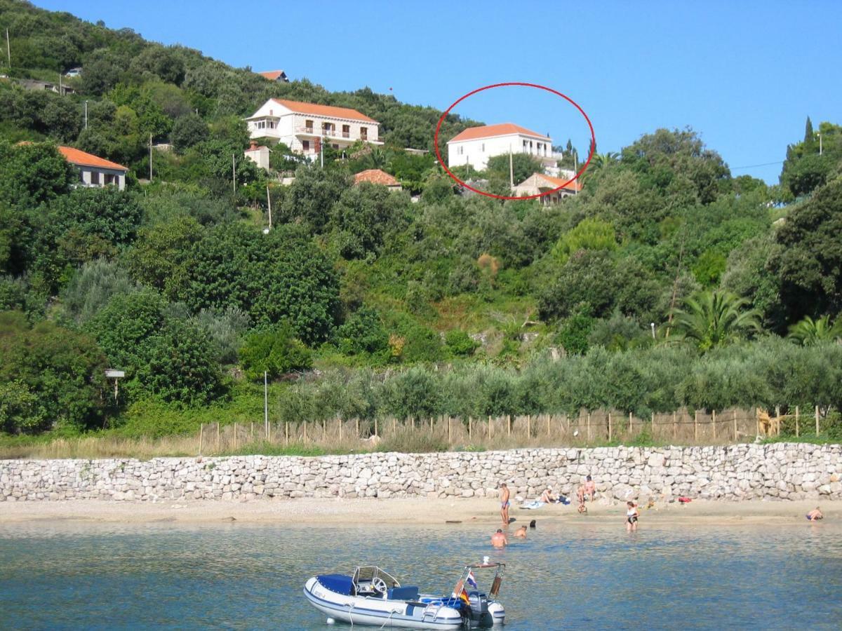 Diving Apartments Molunat Bagian luar foto