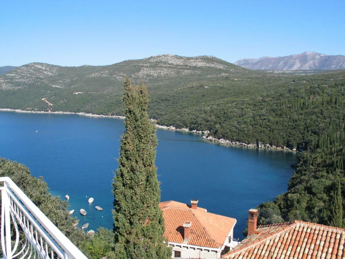 Diving Apartments Molunat Bagian luar foto