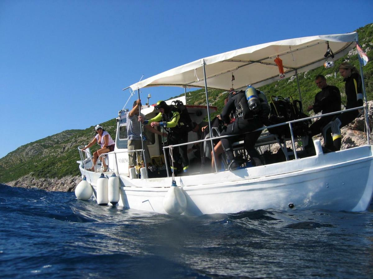 Diving Apartments Molunat Bagian luar foto